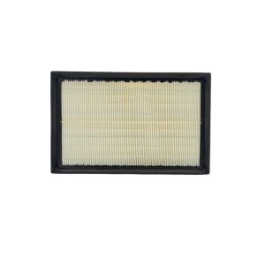 Filtro De Aire X35 & X30 BAIC