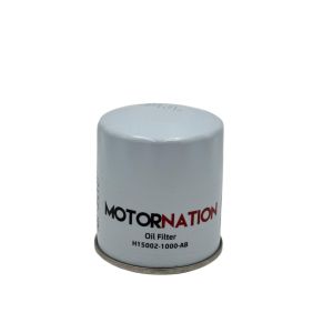 Filtro De Aceite Cs35 Plus & Turbo / Cs55 1.5L MOTORNATION
